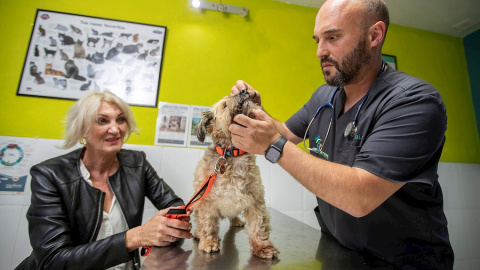 05/12/2019 - Natalia Schilling y su perra Lola en la consulta del veterinario en San Luis de Sabinillas (Málaga). / EFE - ROMÁN RÍOS