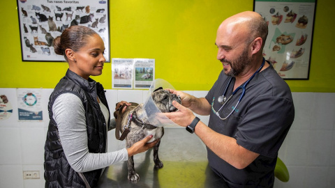 5/12/2019 - La visita de Tracy Sanyerr y su perro Belle a la consulta del veterinario en San Luis de Sabinillas (Málaga). / EFE - ROMÁN RÍOS