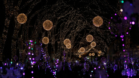 28/11/2019- Encendido oficial de las luces de Navidad en Palma, en la Plaza de la Reina. / EUROPA PRESS