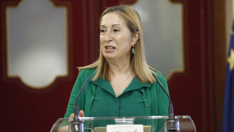 La presidenta del Congreso de los Diputados, Ana Pastor/EFE