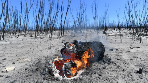 Vista general de como ha quedad el Parque Nacional Flinders Chase tras el incendio | EFE