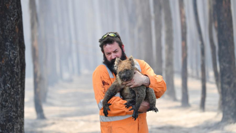 El rescatista de flora y fauna de la región australiana de Adelaida Simon Adamczyk sostiene en brazos a un koala después de haberle salvado del fuego | EFE