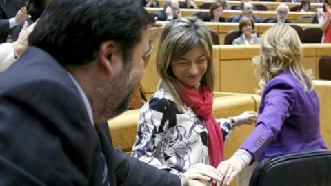 Los ministros de Igualdad, Bibíana Aído (c) y Justicia, Francisco Caamaño, y la secretaria de Organización del PSOE, y senadora Leire Pajín. EFE