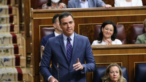 El president del Govern espanyol, Pedro Sánchez, a la sessió de control del Congrés dels Diputats.