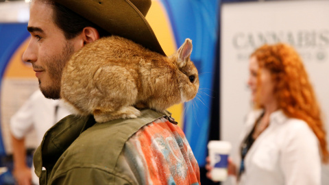 Un asistente permanece con un conejo en el hombro durante el Congreso Mundial del Cannabis en Nueva York, Estados Unidos. REUTERS / Lucas Jackson