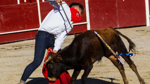 Imagen de la becerrada en San Rafael. PACMA