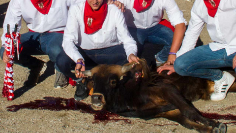 Imagen de la becerrada en San Rafael. PACMA