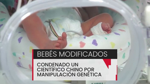 BebÃ©s modificados