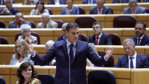 Pedro Sánchez en el senado