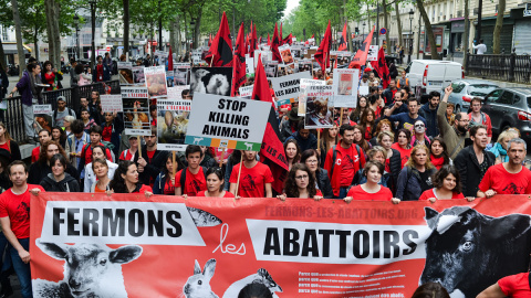 La cabecera de la manifestación convocada por L214 por las calles de París. | L214