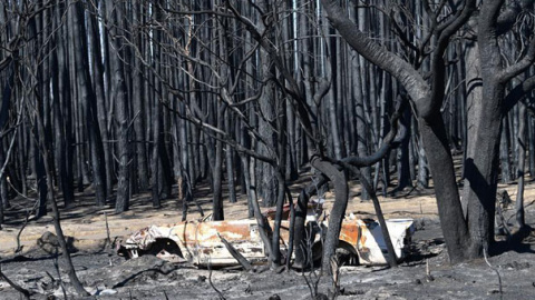 Incendio en la isla Canguro, en Australia. / EFE