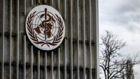 La OMS confirma ya 169 casos de la nueva hepatitis aguda infantil en 11 países