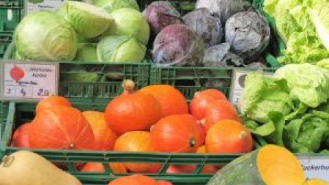 Del frigo a la basura, el insostenible problema del desperdicio de alimentos