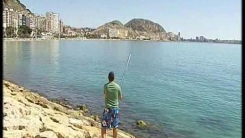 El paro hace aumentar la pesca de caña en el puerto de Alicante