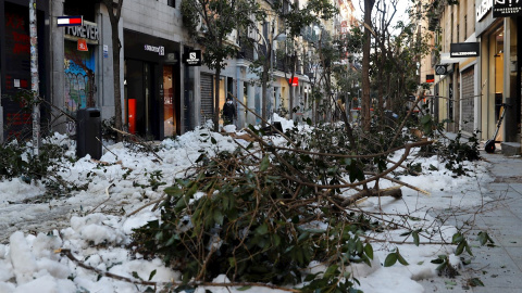 12/01/2021.- Vista de la nieve y los árboles caídos en la acera de la calle Fuencarral (Madrid).