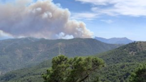 Tres bomberos heridos, uno grave, y cerca de 3.000 vecinos desalojados en el incendio forestal de Sierra Bermeja