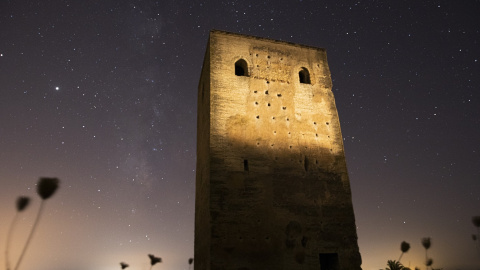 Las lluvias de estrellas fugaces conocidas como las perseidas y típicas del mes de agosto en la campiña sevillana, en Gerena, Sevilla a 14 de agosto del 2020