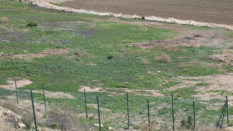 El terreno donde se proyecta la plantación regeneradora de cannabis. / FLECHA VERDE