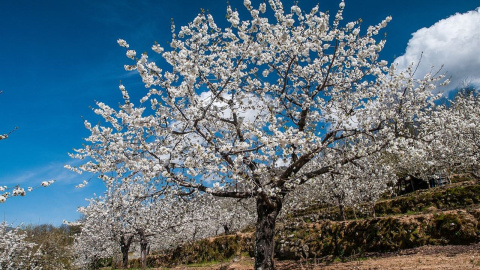 Un sábado soleado dará paso a varios días lluviosos, sobre todo domingo y lunes./EUROPA PRESS