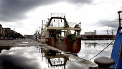 Los lobbies de la pesca ponen en peligro la sostenibilidad de la fauna marítima europea