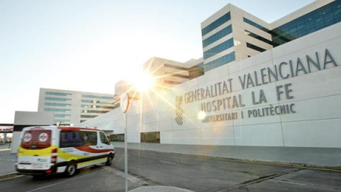 El niño fue ingresado en el Hospital la Fe en Valencia - EFE