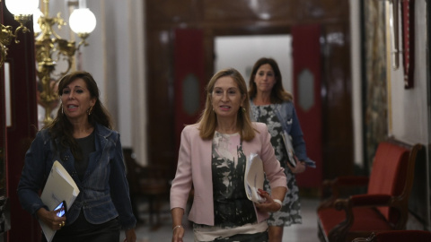 La presidenta del Congreso, Ana Pastor, se dirige a la reunión de la Mesa de la cámara. E.P./Oscar del Pozo