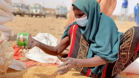 La guerra en Ucrania se suma a la crisis climática y a la pandemia y deja en riesgo de hambruna a 49 millones de personas