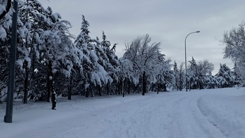 Tres Cantos continúa con grandes cantidades de nieve acumuladas