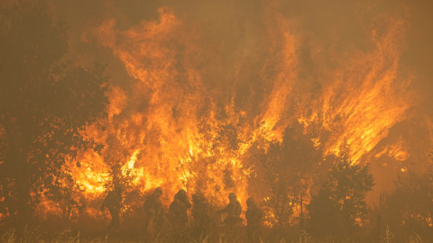 Efectivos de bomberos durante el incendio de la Sierra de la Culebra, a 18 de junio de 2022.