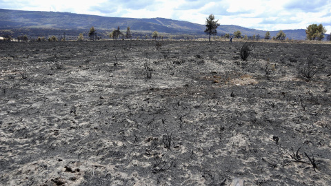 20/06/2022. Efectos provocados por el incendio forestal en la Sierra de la Culebra, en Villardeciervos, Zamora, a 20 de junio de 2022.