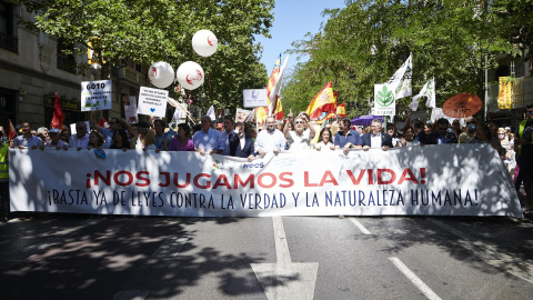 Manifestación contra la reforma de la ley del aborto convocada por organizaciones provida, este domingo en Madrid.