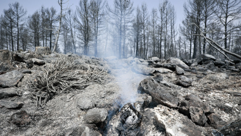 Trabajos de extinción del incendio declarado el domingo en Venta del Moro, en València, a 5 de julio de 2022.