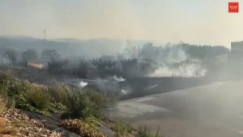 Los equipos de Emergencias estabilizan el incendio forestal en Aranjuez (Madrid)