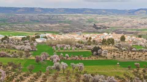 Vista general de Portalrubio de Guadamejud.