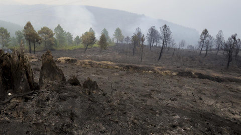 Vista de la zona afectada por el incendio declarado en el término de Monsagro, al suroeste de Salamanca, este miércoles 13 de julio de 2022.