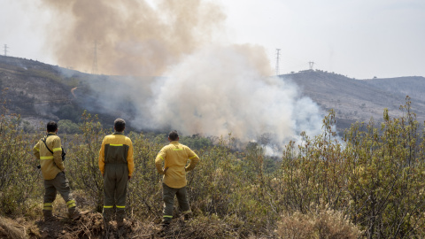 Incendio activo en el Parque Nacional de Monfragüe, en el municipio de Deleitosa (Cáceres).