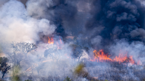 Incendio en el Parque Nacional de Monfragüe, en el municipio de Deleitosa (Cáceres).