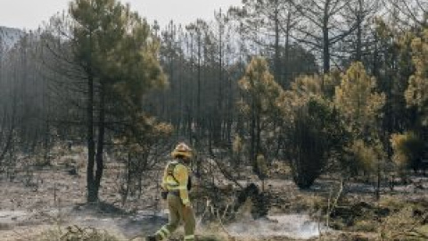 Muere un brigadista en un incendio forestal en Zamora