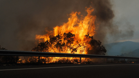 Incendio en O courel