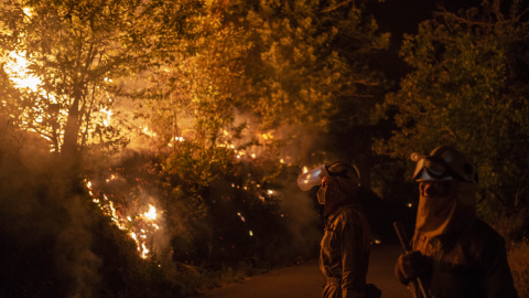 Incendio forestal en Galicia