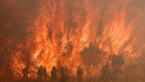 18/07/2022 - Los bomberos actúan en el lugar de un incendio forestal en Pumarejo de Tera, cerca de Zamora, en el norte de España, el 18 de junio de 2022..