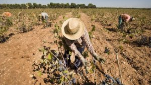 Ideas para una nueva agricultura de secano y contra el suicidio hídrico