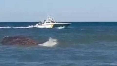 Muere en Valencia la ballena rescatada en Mallorca