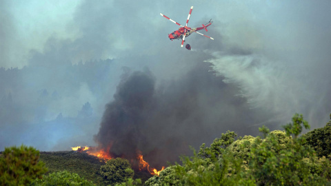 El incendio forestal que afecta a los municipios tinerfeños de Los Realejos y San Juan de la Rambla (Tenerife) es "pequeño pero con mucha potencialidad de extenderse".