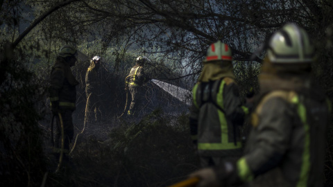 bomberos forestales realizan labores de extinción en un incendio forestal declarado a las afueras de la ciudad de Ourense.