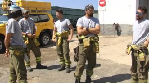 Miles de animales han muerto en los incendios que asolan España