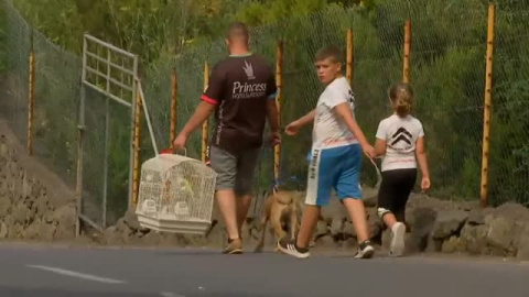 El incendio de Tenerife se adentra en el valle de La Orotava y obliga a desalojar a cientos de personas