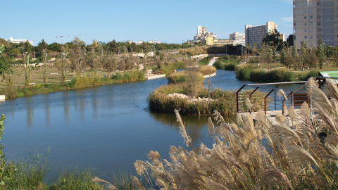 El parque urbano de La Marjal