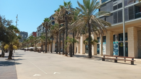 Habitatges construïts al passeig marítim de Badalona.