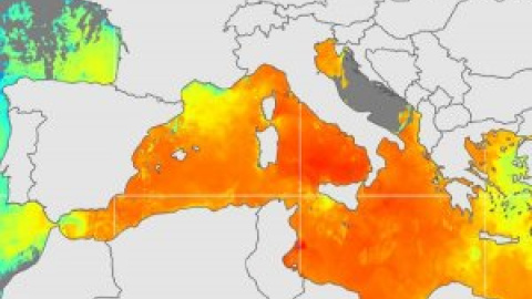 Una ola de calor marina calienta un Mediterráneo con temperaturas hasta 4ºC por encima de lo normal